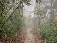 -岳麓山风景名胜区