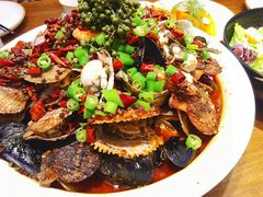 -必点海鲜·鲅鱼水饺(鞍山西道店)