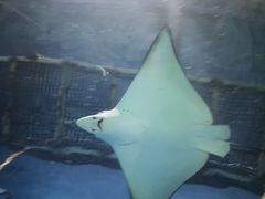 -常州海昌海洋探索馆