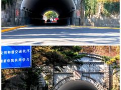 -庐山恋影院(河西路店)