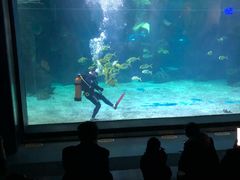 -石家庄海洋公园