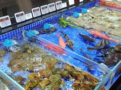 -高佳庄·舟山海鲜(海景旗舰店)