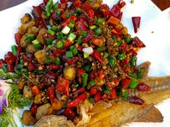 芽菜鲈鱼-庆合府重庆大排档(紫都城店)