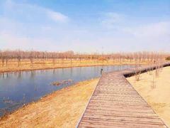 -东郊湿地公园