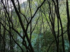 -郧西五龙河风景区
