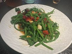 -一善菌·云南菌汤·云南菜(银泰城店)