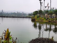 -枫香湖儿童公园