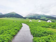 -新疆那拉提国家旅游度假区