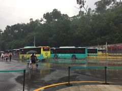 -深圳仙湖植物园-停车场