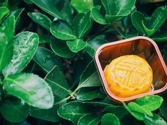 -皇玥(尖沙咀店)