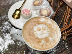 -喵屿·大理花园猫咖