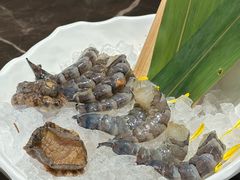 -一绪に和牛寿喜烧(罗湖益田假日店)