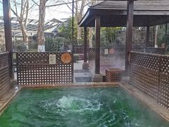 -春晖园度假酒店温泉