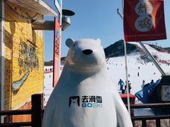 -北京莲花山滑雪场