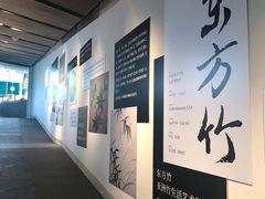 -中国美术学院象山校区-民艺博物馆