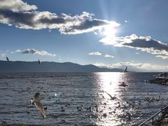 -大理洱海