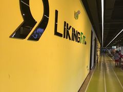 -Liking健身(哈尔滨旗舰店)