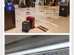 -上海龙之梦万丽酒店