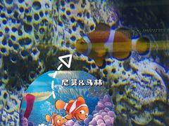 -大连老虎滩海洋公园