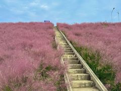 -沂蒙云瀑洞天景区