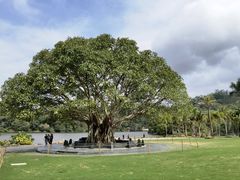 -深圳仙湖植物园