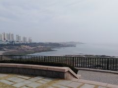 -九层海鲜塔(市南店)