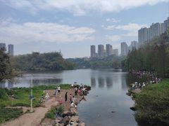 -重庆彩云湖湿地公园