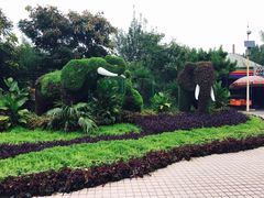 -辛玛王国游乐园