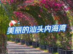 -华侨公园