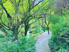 -夏霖九天银瀑风景区