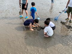 -南汇嘴观海公园