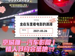 -枫花园汽车电影院(朝阳公园店)