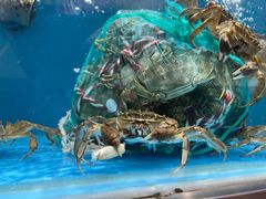 -盒马鲜生(龙德广场店)