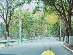-崇海汽渡临永渡口