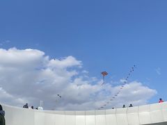 -哈尔滨大剧院