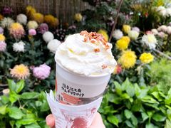 -茶颜悦色(岳麓山顶店)