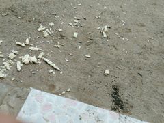 -圣爵菲斯大酒店(长沙世界之窗店)