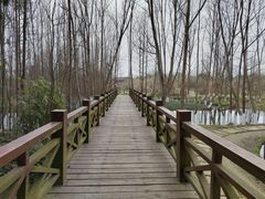 -桤木河湿地公园