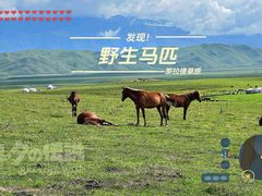 -新疆那拉提国家旅游度假区