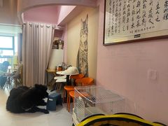 -我爱猫咪·猫咖·狗咖·安哥拉兔·羊驼咖(小寨华旗店)