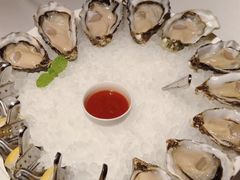 -Oyster Talks 四度蚝法餐厅