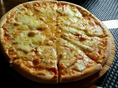 -百好乐宠物友好餐厅(朝外大街店)