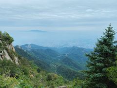 -泰山风景名胜区