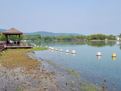 -尚湖风景区