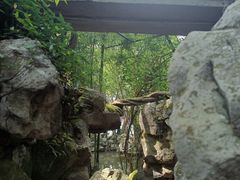 -绮园景区
