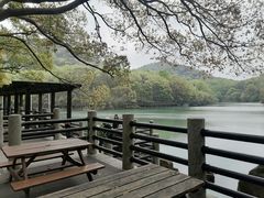 -白马涧龙池景区