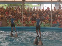 -尼莫海豚馆