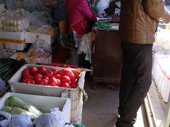 -岳各庄批发市场(西四环中路店)