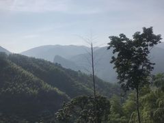 -江南天池