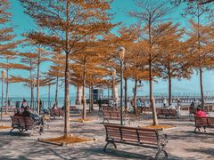 -深圳湾公园(南山区)